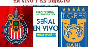 Chivas vs Tigres EN VIVO EN DIRECTO