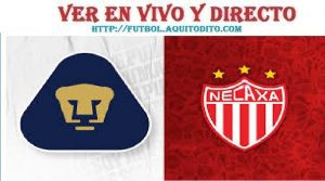 Pumas vs Necaxa EN VIVO Liga MX